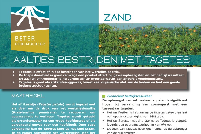 Nr-03-FS-Aaltjes-bestrijden-met-Tagetes-7-Febr-2023