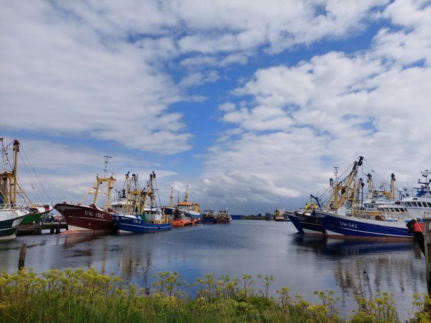 Onderzoekers van Wageningen Marine Research schatten dat Nederland nog ruim 30 grote boomkorkotters heeft.