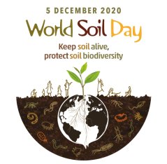 Webinar World soil day.jpg