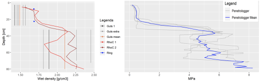 Figuur 2 - Meetresultaat op 1 perceel van ringen, guts, bulkdichtheidssensor en penetrologger.