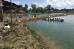 A shrimp pond in the coastal area of the Mekong Delta. Photo: Jan Verhagen