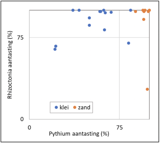 Figuur 1. Aantasting van een toetsgewas door Pythium en Rhizoctonia in grond van 22 akkerbouwpercelen (klei- of zandgrond) waaraan deze ziekteverwekkers zijn toegevoegd.