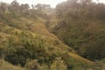 The buffer area in La Sepultura Biosphere Reserve, our research site, is a human-modified landscape with a mosaic of land uses